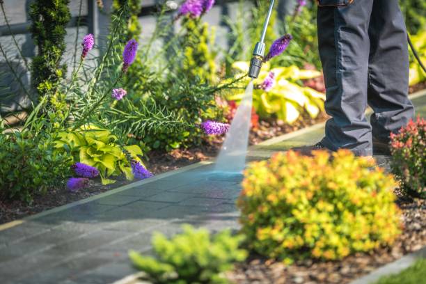 Best Spring Cleaning  in Fort Plain, NY